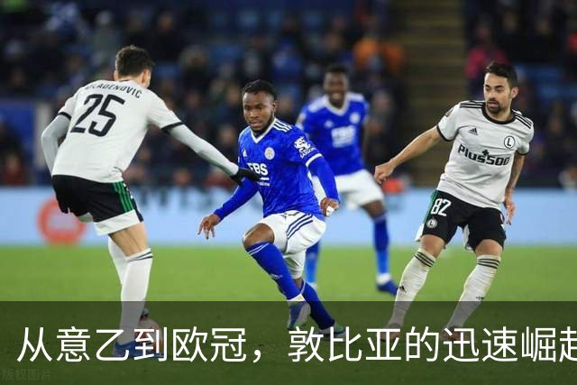 从意乙到欧冠，敦比亚的迅速崛起与成长轨迹
